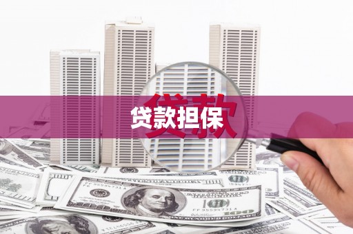 萨迦贷款担保