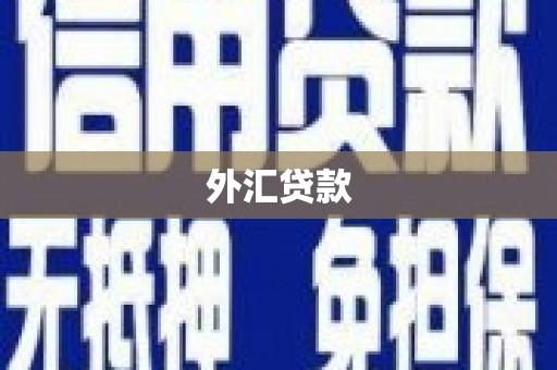 萨迦外汇贷款