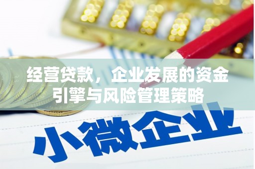 萨迦经营贷款，企业发展的资金引擎与风险管理策略