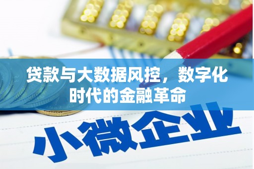 萨迦贷款与大数据风控，数字化时代的金融革命