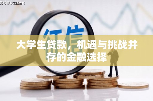 萨迦大学生贷款，机遇与挑战并存的金融选择