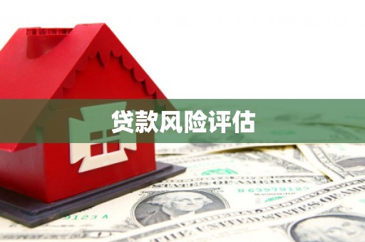 萨迦贷款风险评估