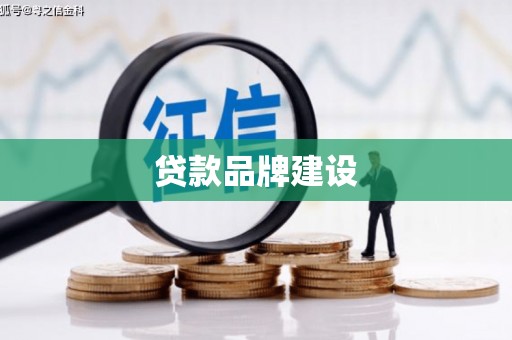 萨迦贷款品牌建设