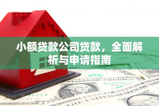 萨迦小额贷款公司贷款，全面解析与申请指南