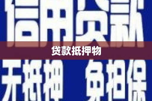 萨迦贷款抵押物