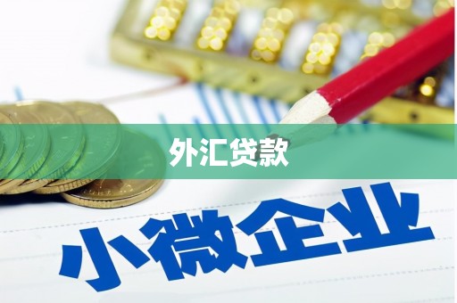 萨迦外汇贷款
