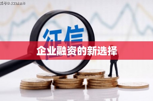 萨迦企业融资的新选择