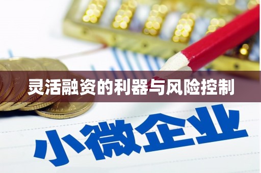萨迦灵活融资的利器与风险控制