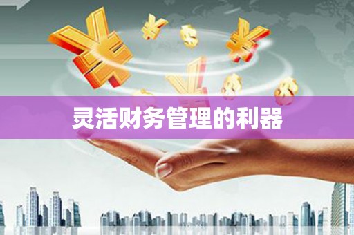 萨迦灵活财务管理的利器