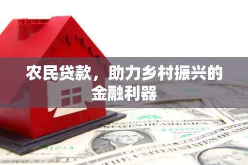 萨迦农民贷款，助力乡村振兴的金融利器