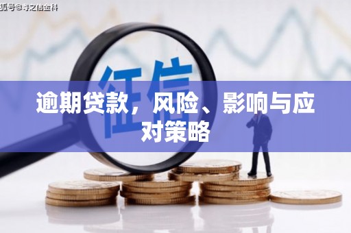 萨迦逾期贷款，风险、影响与应对策略