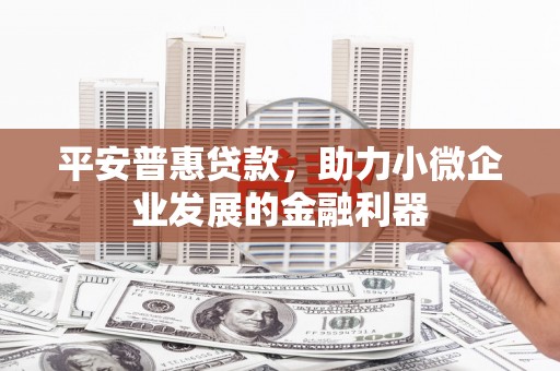 萨迦平安普惠贷款，助力小微企业发展的金融利器