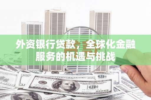 萨迦外资银行贷款，全球化金融服务的机遇与挑战