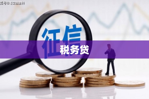萨迦税务贷