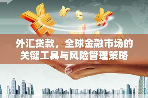 萨迦外汇贷款，全球金融市场的关键工具与风险管理策略