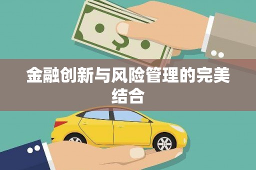萨迦金融创新与风险管理的完美结合