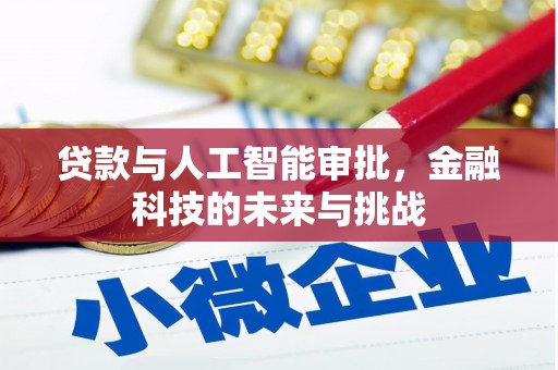 萨迦贷款与人工智能审批，金融科技的未来与挑战