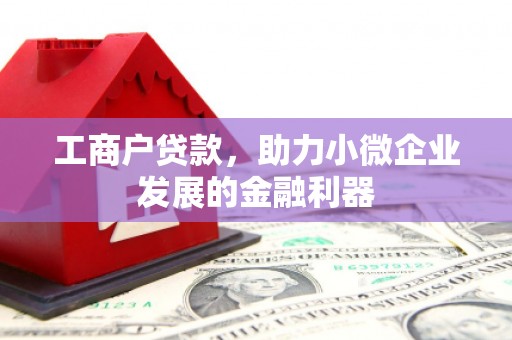 萨迦工商户贷款，助力小微企业发展的金融利器