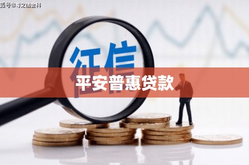 萨迦平安普惠贷款