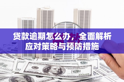 萨迦贷款逾期怎么办，全面解析应对策略与预防措施