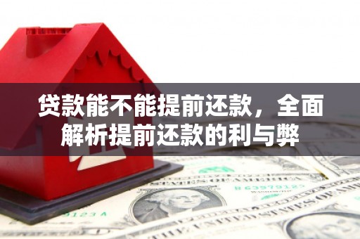 萨迦贷款能不能提前还款，全面解析提前还款的利与弊