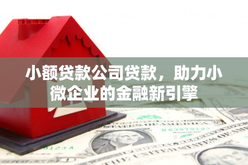 萨迦小额贷款公司贷款，助力小微企业的金融新引擎