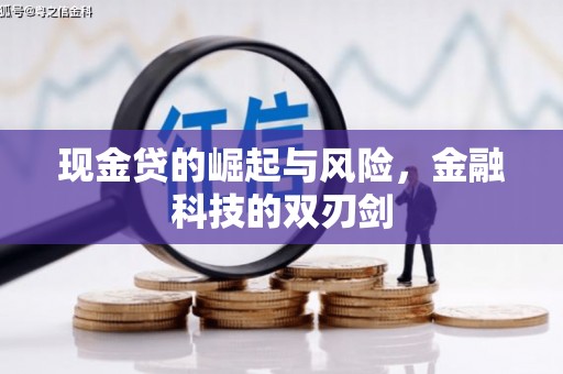 萨迦现金贷的崛起与风险，金融科技的双刃剑