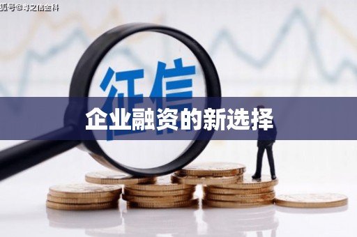 萨迦企业融资的新选择