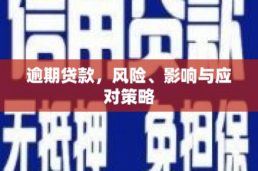 萨迦逾期贷款，风险、影响与应对策略