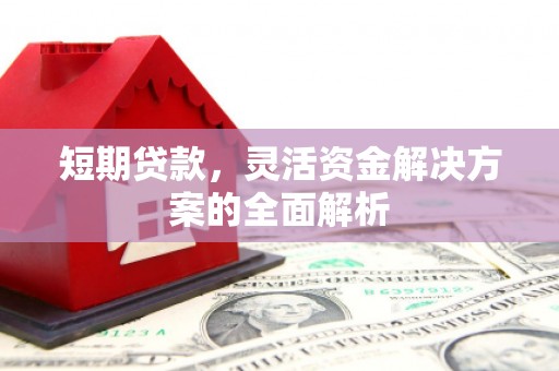 萨迦短期贷款，灵活资金解决方案的全面解析