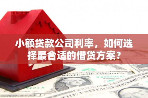 萨迦小额贷款公司利率，如何选择最合适的借贷方案？