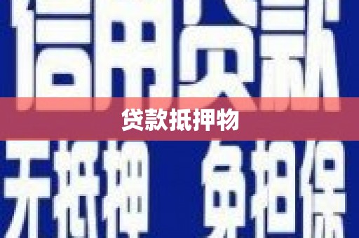 萨迦贷款抵押物