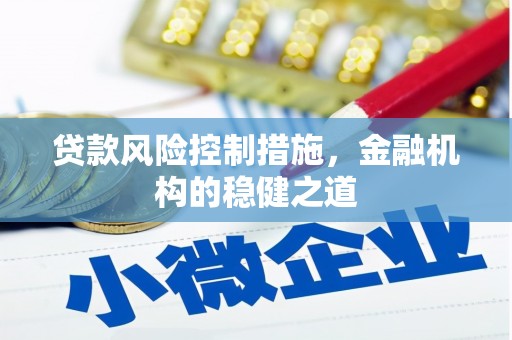 萨迦贷款风险控制措施，金融机构的稳健之道