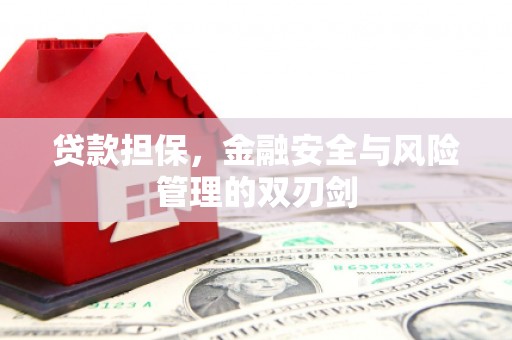 萨迦贷款担保，金融安全与风险管理的双刃剑