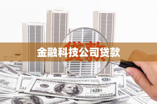 萨迦金融科技公司贷款