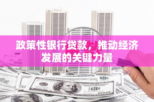 萨迦政策性银行贷款，推动经济发展的关键力量