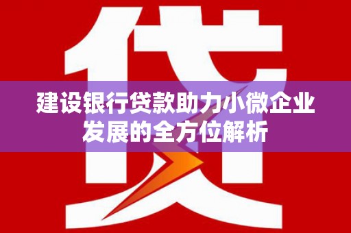 萨迦建设银行贷款助力小微企业发展的全方位解析