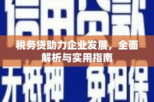 萨迦税务贷助力企业发展，全面解析与实用指南