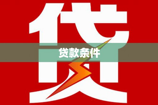 萨迦贷款条件