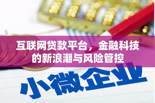 萨迦互联网贷款平台，金融科技的新浪潮与风险管控