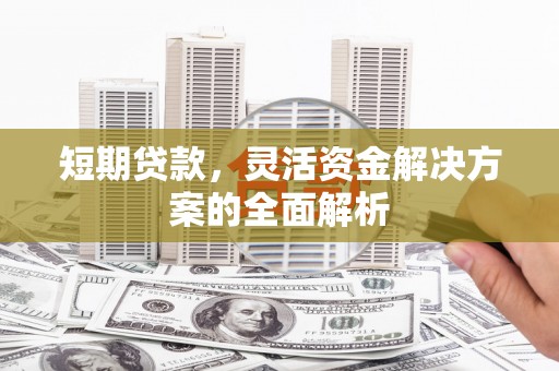 萨迦短期贷款，灵活资金解决方案的全面解析