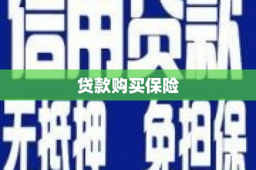 萨迦贷款购买保险