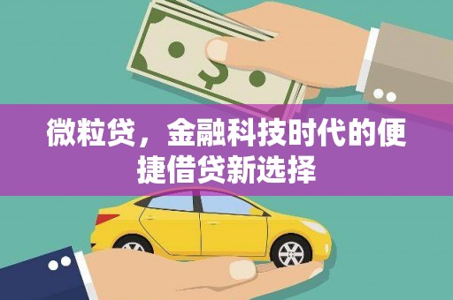 萨迦微粒贷，金融科技时代的便捷借贷新选择