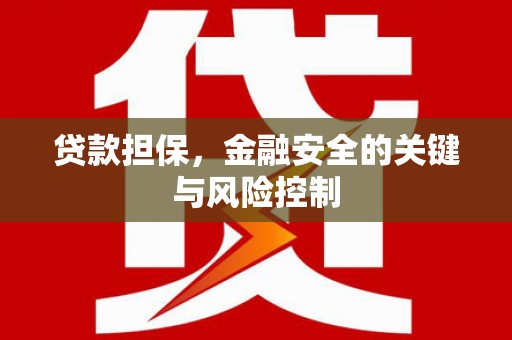 萨迦贷款担保，金融安全的关键与风险控制