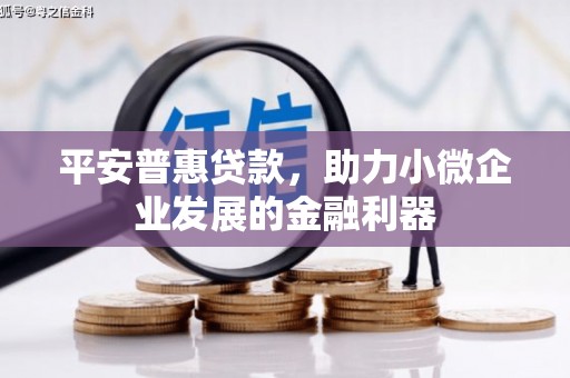 萨迦平安普惠贷款，助力小微企业发展的金融利器