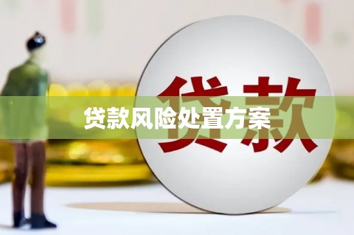 萨迦贷款风险处置方案