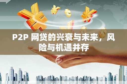 萨迦P2P 网贷的兴衰与未来，风险与机遇并存