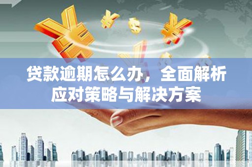 萨迦贷款逾期怎么办，全面解析应对策略与解决方案
