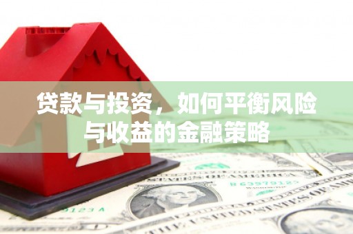 萨迦贷款与投资，如何平衡风险与收益的金融策略