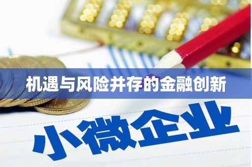 萨迦机遇与风险并存的金融创新
